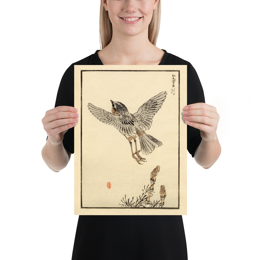 Kono Bairei 1888 Woodblock Print - Bird Taking Flight