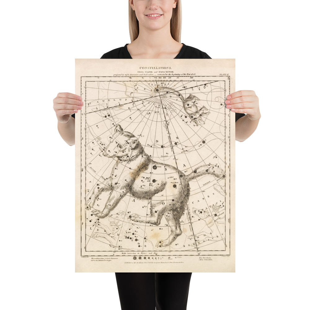 Antique Astronomy Print - Ursa Minor and Major Constellations