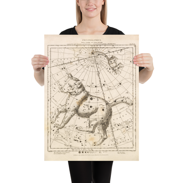 Antique Astronomy Print - Ursa Minor and Major Constellations