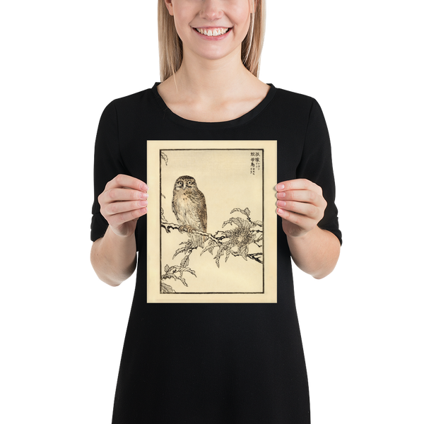 Kono Bairei 1888 Woodblock Print - Owl on Branch