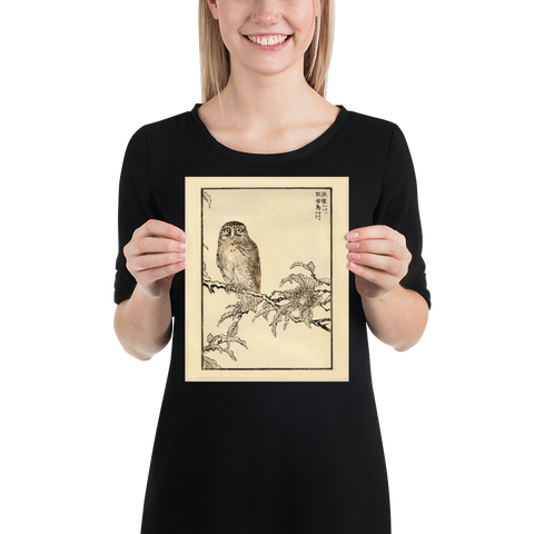 Kono Bairei 1888 Woodblock Print - Owl on Branch